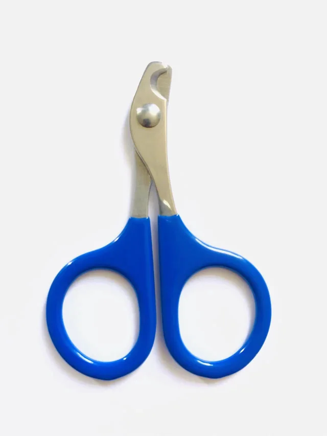 Pet Nail Clipper Small And Medium sized Bare Cut Sapphire Blue - Shop at LoveMi
