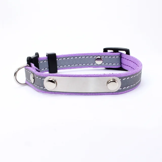 Pet Collar Can Be Worded To Prevent Loss Purple - Shop at LoveMi