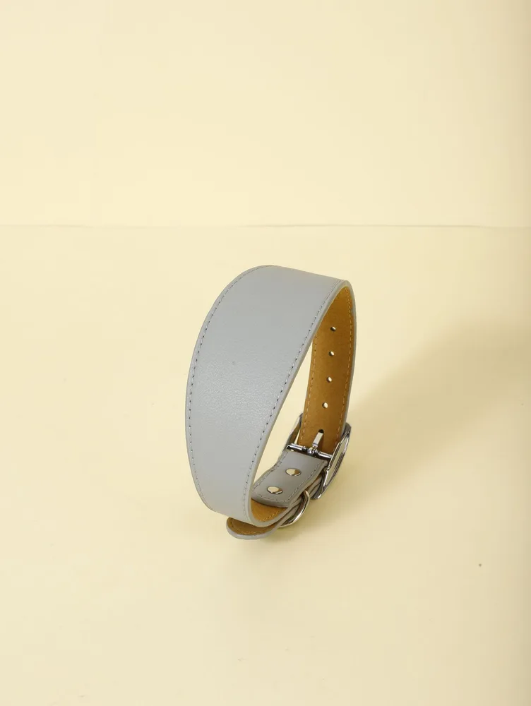 New Pet Casual Adjustable Collar Gray - Shop at LoveMi