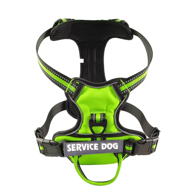 Oxford Cloth Strap Personalized Dog Back Green - Shop at LoveMi