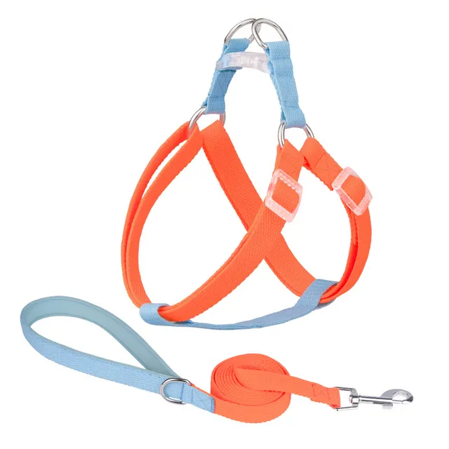 Macaron Traction Dog Rope Small And Medium Sized Pets Set Orange Blue - Shop at LoveMi