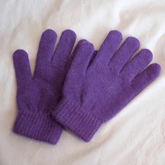 Women's Winter Finger Knitting Cute Monochrome Girl Versatile Pure Color Warm Gloves Purple - Shop at LoveMi