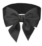 Deep Black Color