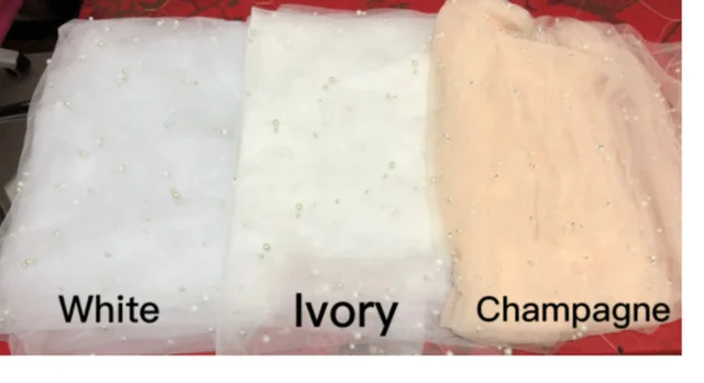 Long Bridal Cathedral Veil Ivory - Shop at LoveMi