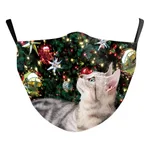 B178 1107-Adult Average Size