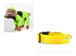 Green With Yellow