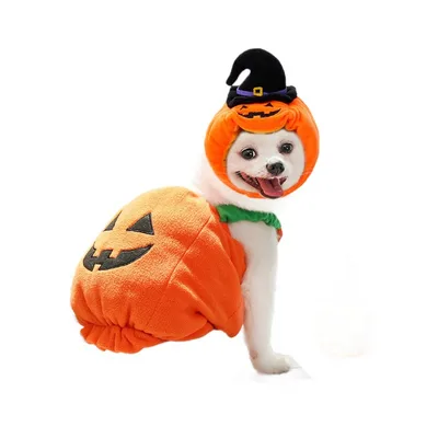 Halloween Pumpkin Vest For Dogs Cats Festive Pet Costume Harness Funny Thanksgiving Christmas Apparel For Small Animals Clothing Set - Shop at LoveMi