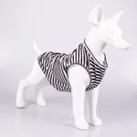 Thin Black And White
