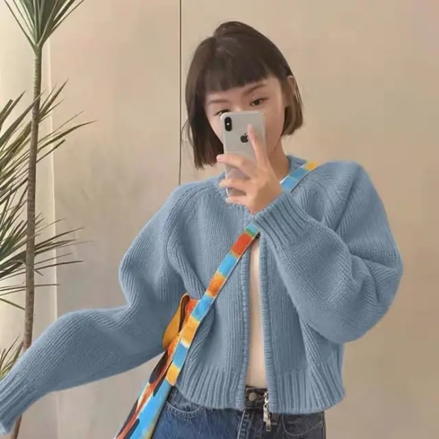 Autumn New French Gentle Short Top Sky Blue - Shop at LoveMi