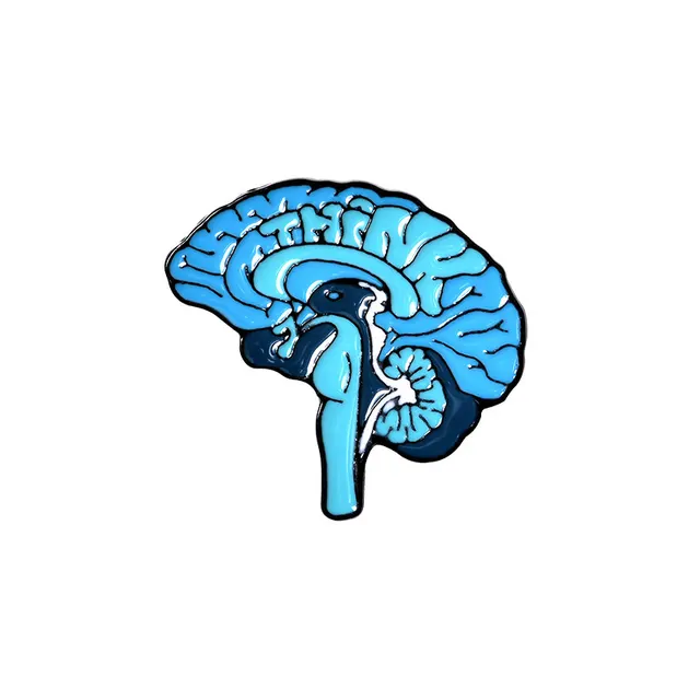 Cartoon Creative Human Organ Brooch Heart Brain Lung Styling Accessories Brain - Shop at LoveMi