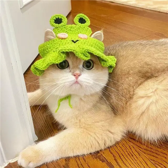 Wool Pet Hood Dogs And Cats Knitted Hat Prop Headdress Frog Hat - Shop at LoveMi