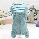 Fashion Brand Strap Blue
