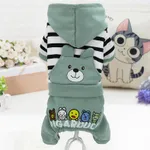 Sugar Bear Fourlegged Green