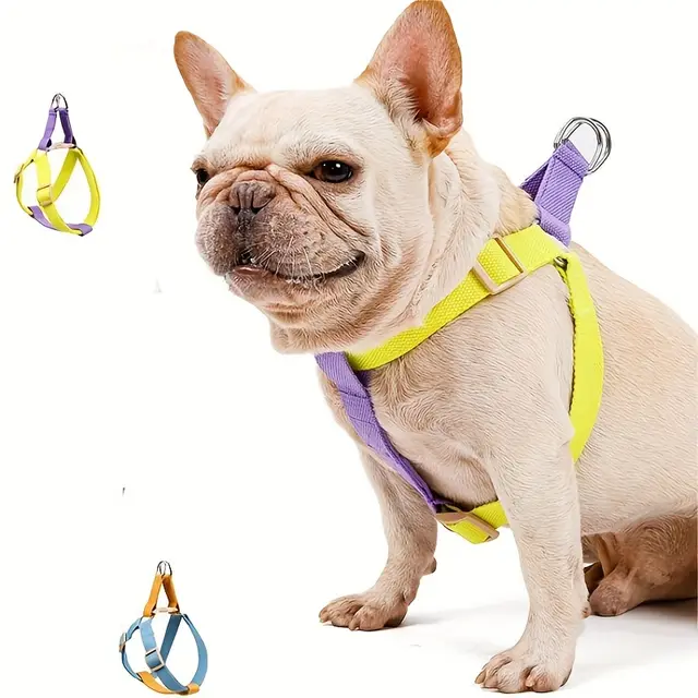 Rainbow Colorblock Pet Harness Set Anti Escape Vest Type Dog Harness Chest Leash Cotton Designer Puppy Dog Harness Set Purple - Shop at LoveMi