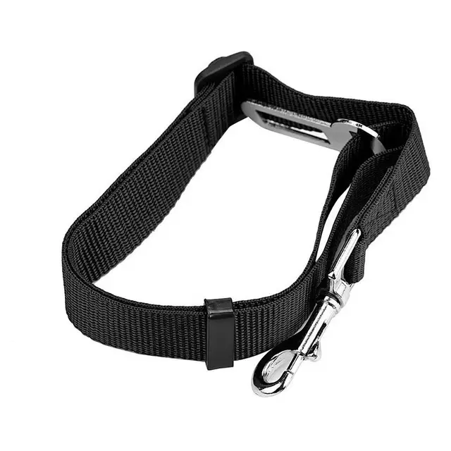 Nylon Retractable Dog Safety Rope Pet Black - Shop at LoveMi