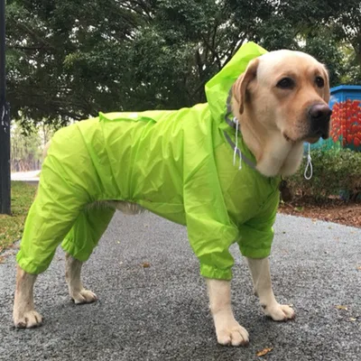 Dog Raincoat Border Shepherd Dog Clothing Waterproof Green - Shop at LoveMi