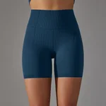 6621 Shorts Navy Blue