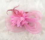Bridal Feather Mesh Head Flower - Pink