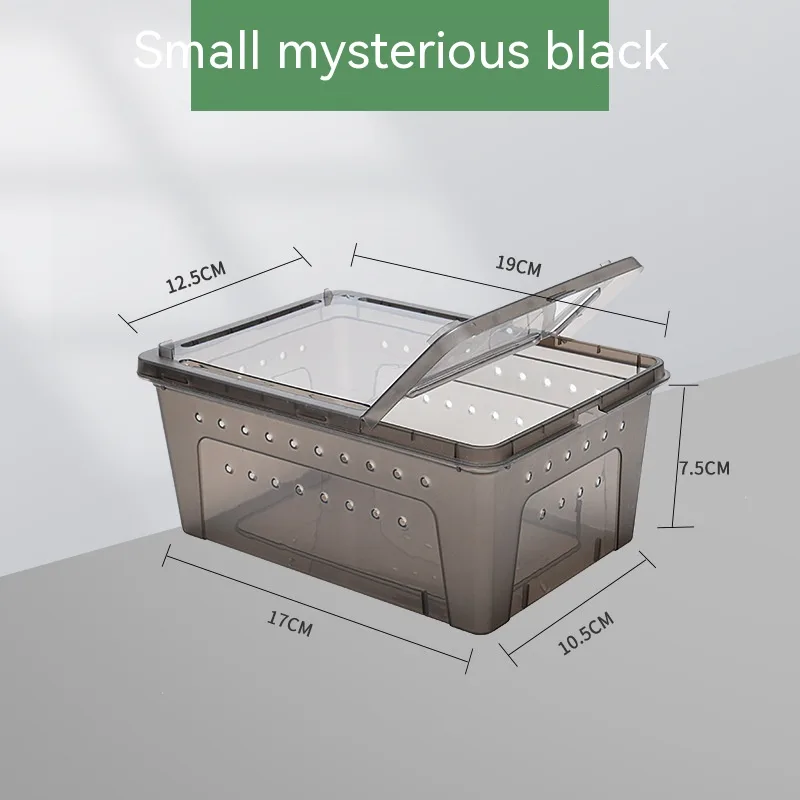 Silkworm Feeding Pet Box Turtle Jar Blacksmall Size - Shop at LoveMi