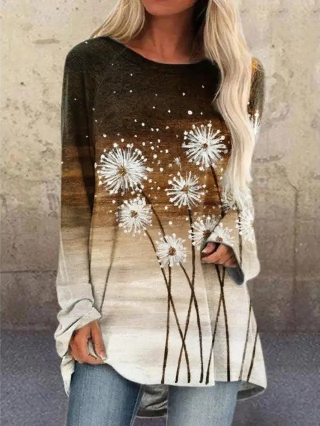 Pullover Long Sleeve Abstract 3D Printed Loose Round Neck Women's T shirt Bl22091L7 - Shop at LoveMi