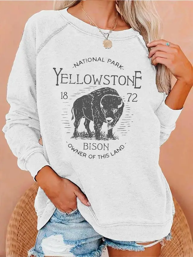 New European And American Personalized Elements Women's Sweater Style24 - Shop at LoveMi
