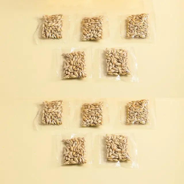 Hydroponic Cat Grass Box Soilless Planting Cat Suit Cat Grass Seeds 10Bag - Shop at LoveMi