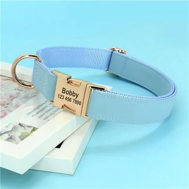 Dog Small Corgi Method Fighting Collar Blue - Shop at LoveMi