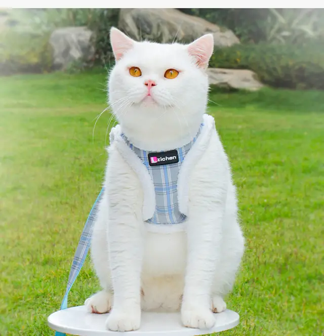 Cat Pulling Rope Anti Breaking Loose For Outdoor Use Gray And Blue Plaid - Shop at LoveMi