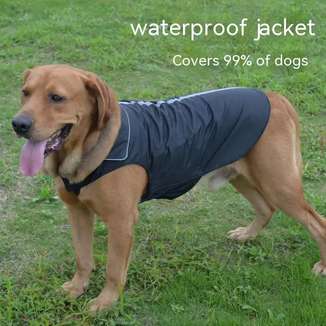 Dog Clothes Outdoor Shell Jacket Waterproof Raincoat Black - Shop at LoveMi