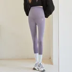 Gray Purple