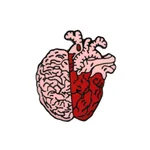 Brain
