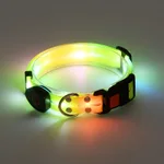 Dog Collar Yellow