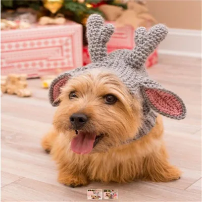 New Pet Hat Cute Style Braid Headgear Spring And Autumn Gray Small Deer - Shop at LoveMi