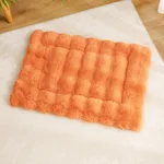 Warm Orange