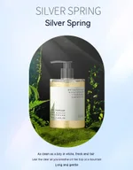 Silver Mountain Spring