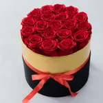 19 Golden Edge Flower Pot