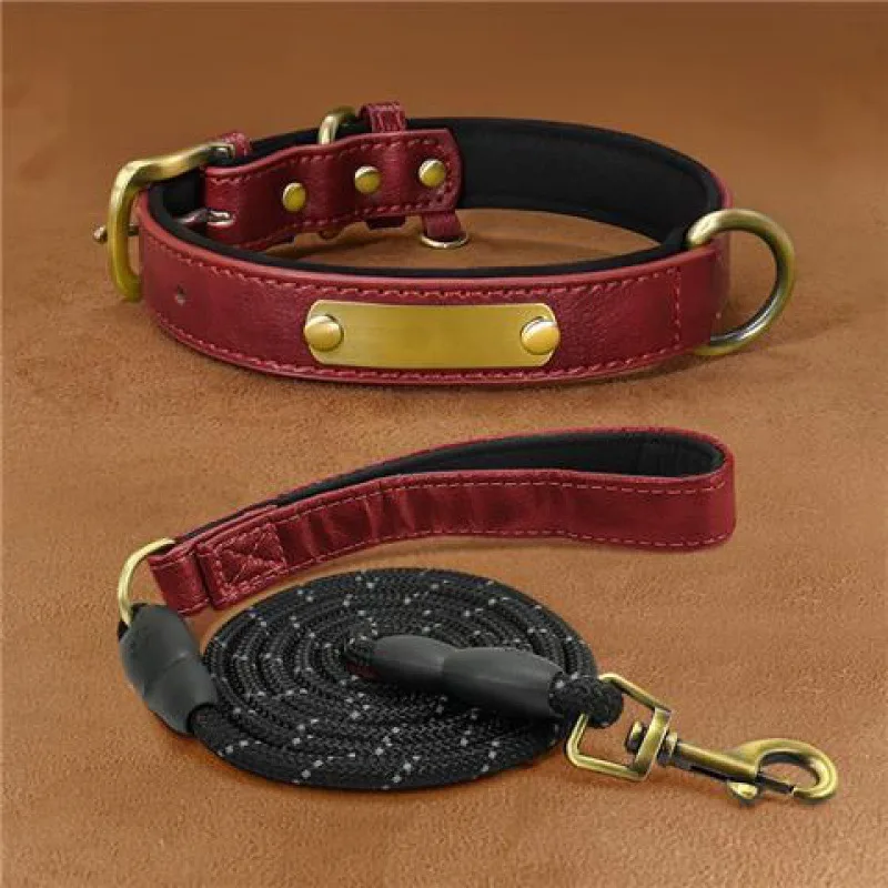 Dog Collar Engraved With Lettering To Prevent Loss Of Neck Collar - Red Suit