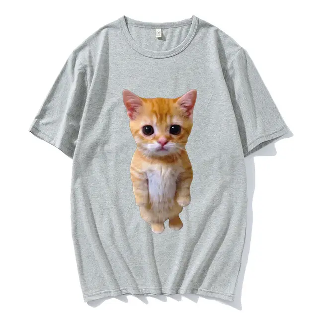 El Gato Meme Sad Crying Cat Munchkin Kitty Gary - Shop at LoveMi