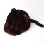 Brown Ears