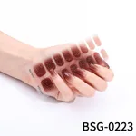 Bsg 0223
