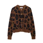 Leopard Print 3