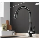 Black Ancient Pullout Faucet