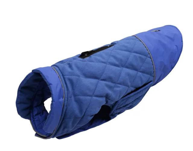 Fashion Autumn And Winter Outdoor Dog Clothes Blue - Shop at LoveMi