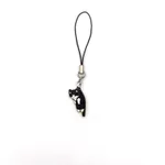 Black Cat 1