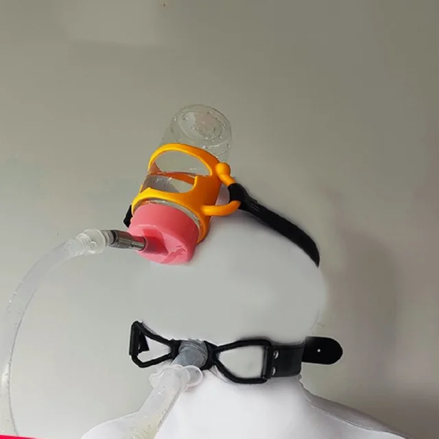 Game Training Restricts Drinking Water Binding Strap - Shop at LoveMi