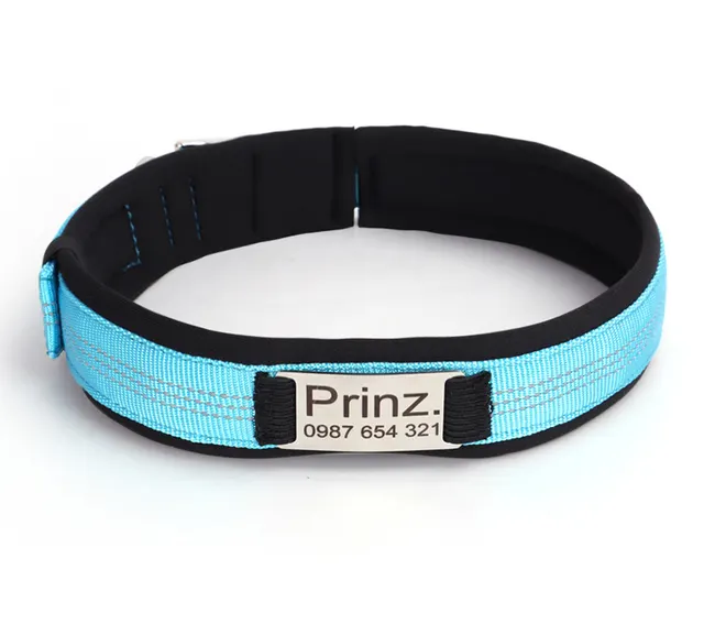 Diving Material Needle Buckle Chicken Eyes Engraved Anti Loss Collar Sky Blue - Shop at LoveMi