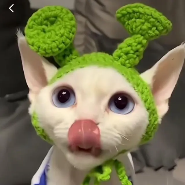 Pet Hood Cat Dog Knitted Hat Prop Headdress Green Shrek - Shop at LoveMi