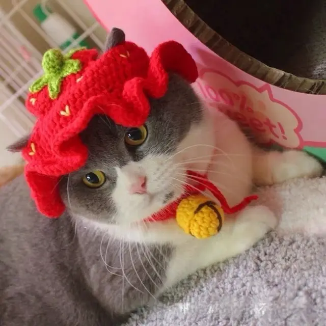 Pet Hood Cat Dog Knitted Hat Prop Headdress Red Strawberry Hat - Shop at LoveMi