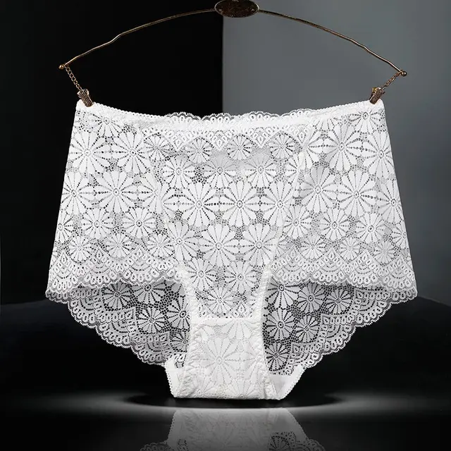 High Waist Hollow out Sexy Transparent Plus sized Purified Cotton Briefs White - Shop at LoveMi