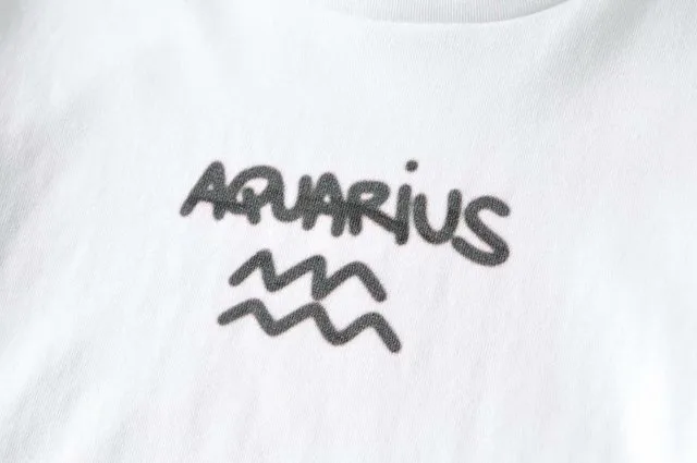 T shirt Slim Fit Zodiac Fit Cut Rib Midriff baring Top Cute Kawaii Aquarius - Shop at LoveMi
